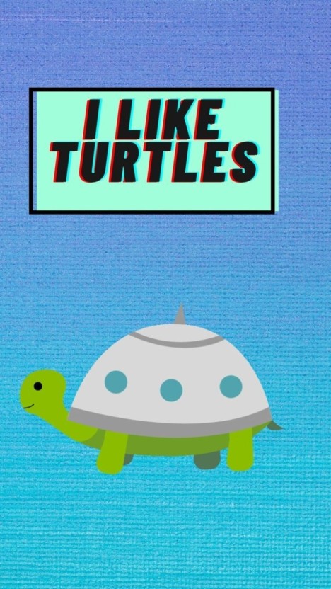 Mesmerizing cute turtle wallpaper for your screen in 2024